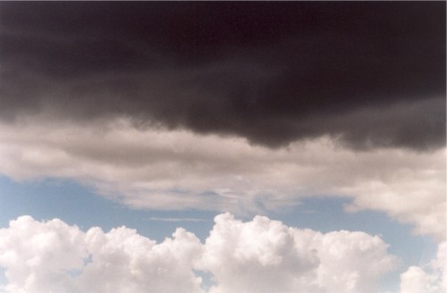 the crows don't scare