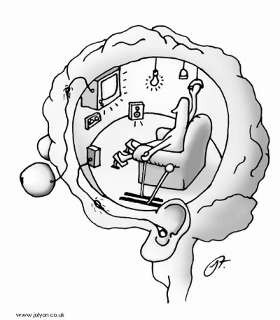 homunculus homunculus