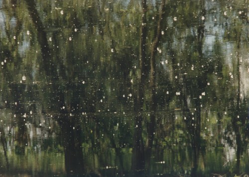 Atchafalaya Basin (Photo: Camille Martin)