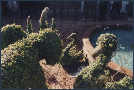 (Photo: Camille Martin) (Photo: Camille Martin)