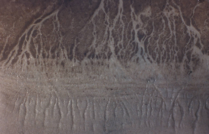 Tributaries by Camille Martin Photo: Camille Martin