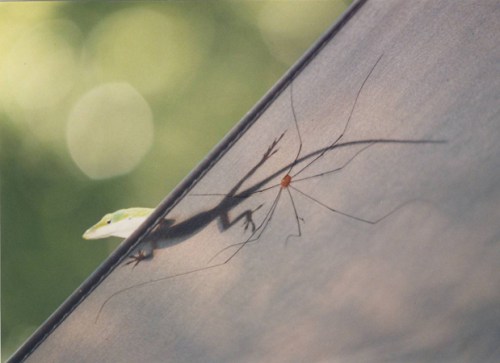 Photo: Camille Martin