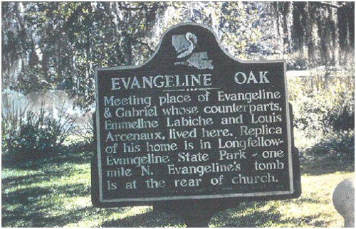 Evangeline Oak Evangeline Oak