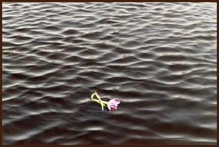 Photo: Camille Martin