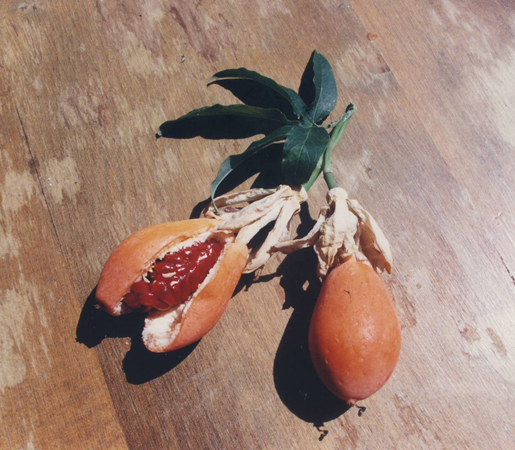 Photo: Camille Martin