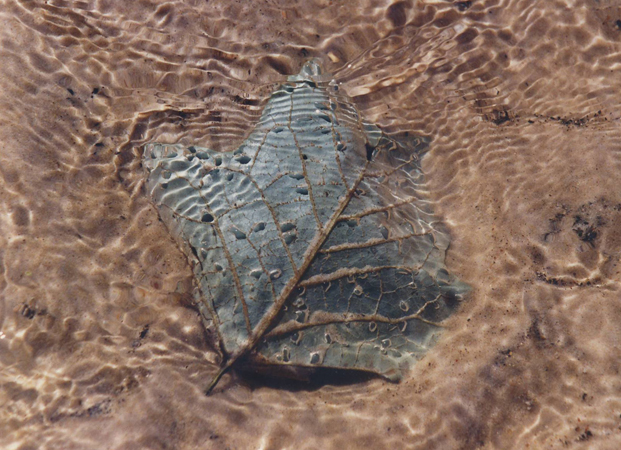 Photo: Camille Martin