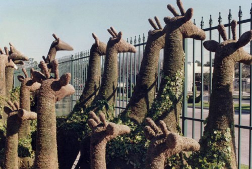 Photo: Camille Martin