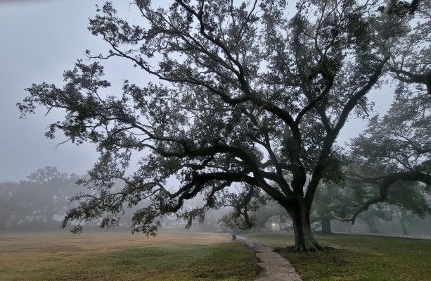 This image has an empty alt attribute; its file name is 31e.jpg