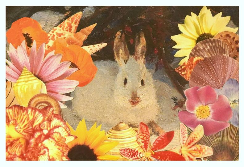 No photo description available.